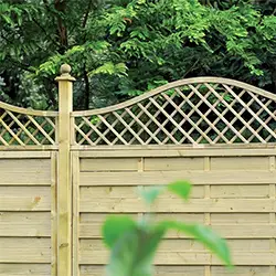 european trellis 1