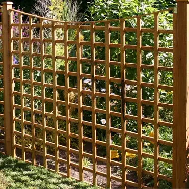 trellis fencing